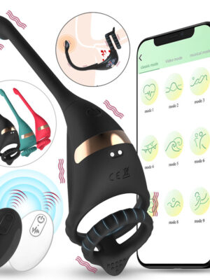 Dragon Rider APP-Controlled Male Double Cock Ring Anal Plug