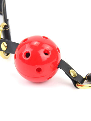 ROOMFUN PR-006 SM tool of Breathable Gag & Adjustable Clamps