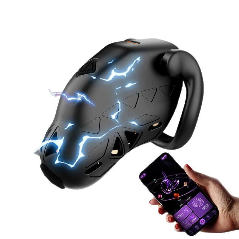 Lockink Electric Shock Cage App Smart Chastity  Cage Remotely