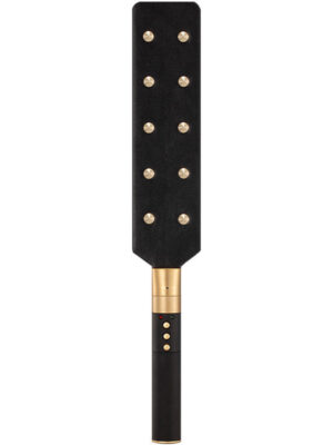 Roomfun Electric Paddle Electroplay