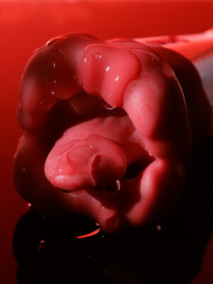 Rose Lip Nibble Suction Clitoral Stimulator Tongue licking Vibrator for female sex toys