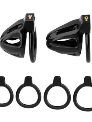 Dragon lock Men's Chastity lock Male Penis Cage with 4 rings