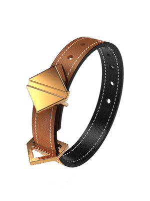 2024 New Lockink Bondage Colloportus Belt